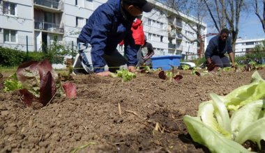 © Association ASAC - grandparisdurable.org