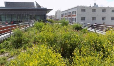 © Projet GROOVES / ARB IDF - grandparisdurable.org