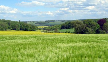 © Région Île-de-France - grandparisdurable.org